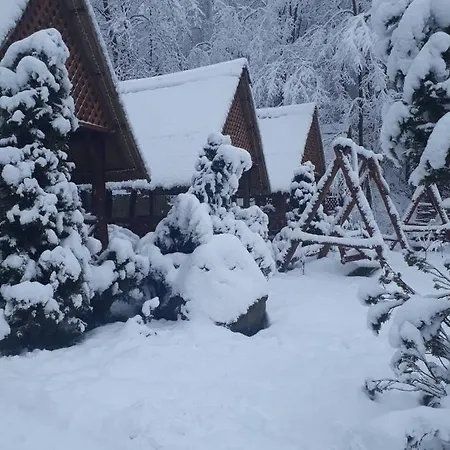 Toursit Complex Kvasova *