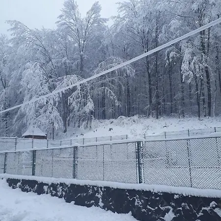 Toursit Complex Kvasova Polyana (Transcarpathia)