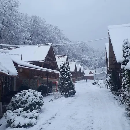 Toursit Complex Kvasova * Polyana (Transcarpathia)