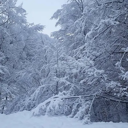 Toursit Complex Kvasova *