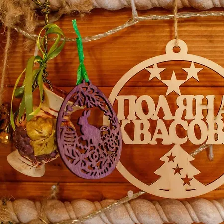 Toursit Complex Kvasova Inn Polyana (Transcarpathia)
