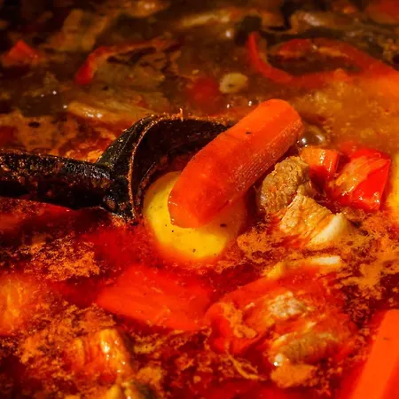 Toursit Complex Kvasova Polyana (Transcarpathia)