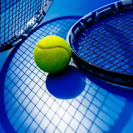 Toursit Complex Kvasova Zajazd Polyana (Transcarpathia)