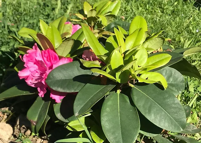 Toursit Complex Kvasova * 波利亚纳