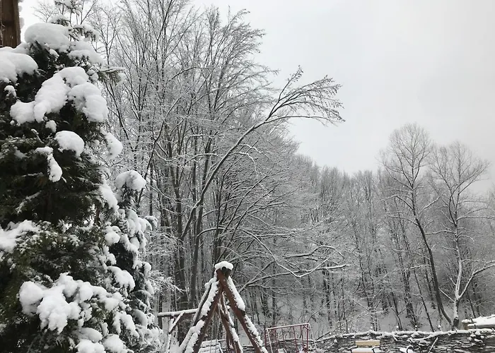 Toursit Complex Kvasova 宾馆 *