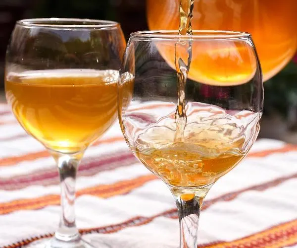 Toursit Complex Kvasova 宾馆 波利亚纳